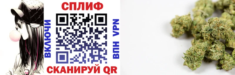 Где купить наркотики Подпорожье A-PVP Мефедрон Гашиш кракен tor Марихуана Галлюциногенные грибы