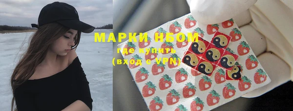 ГАЛЛЮЦИНОГЕННЫЕ ГРИБЫ Алзамай