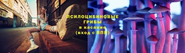 ПСИЛОЦИБИНОВЫЕ ГРИБЫ Абинск