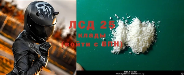 индика Алексин