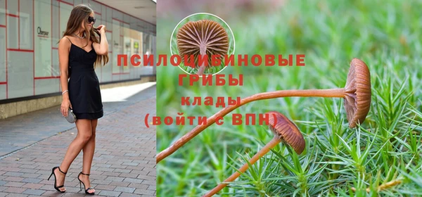 ПСИЛОЦИБИНОВЫЕ ГРИБЫ Абинск