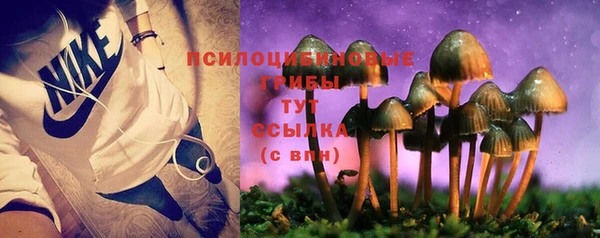 ПСИЛОЦИБИНОВЫЕ ГРИБЫ Абинск
